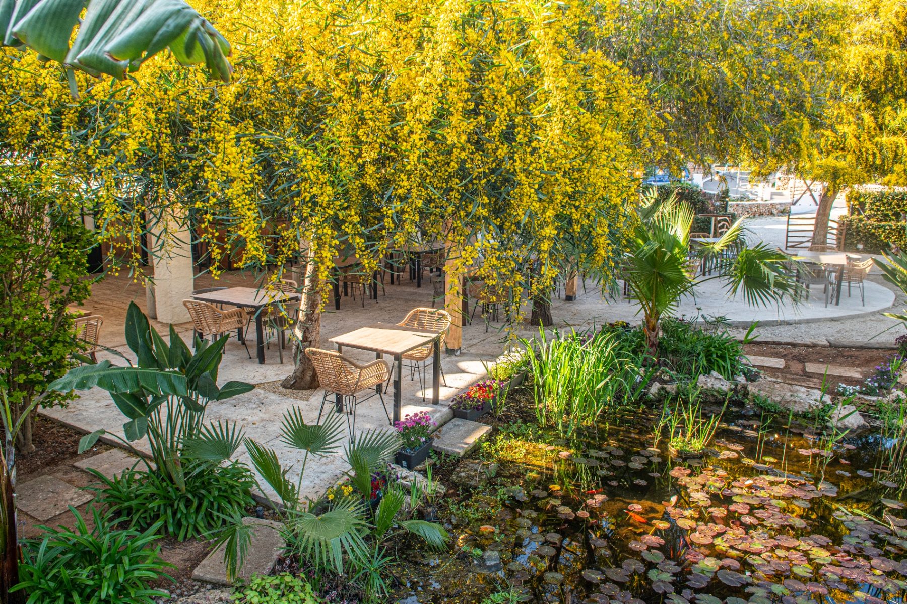 Jardín